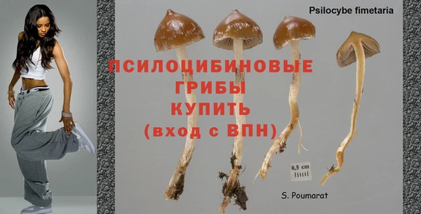 гидропоника Остров