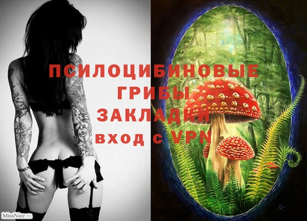 синтетический гашиш Осташков