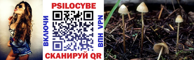 Галлюциногенные грибы Magic Shrooms hydra маркетплейс Лосино-Петровский